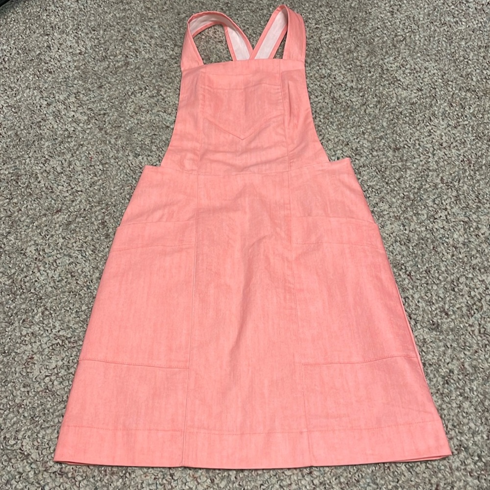 Birds of North America Harrier dress